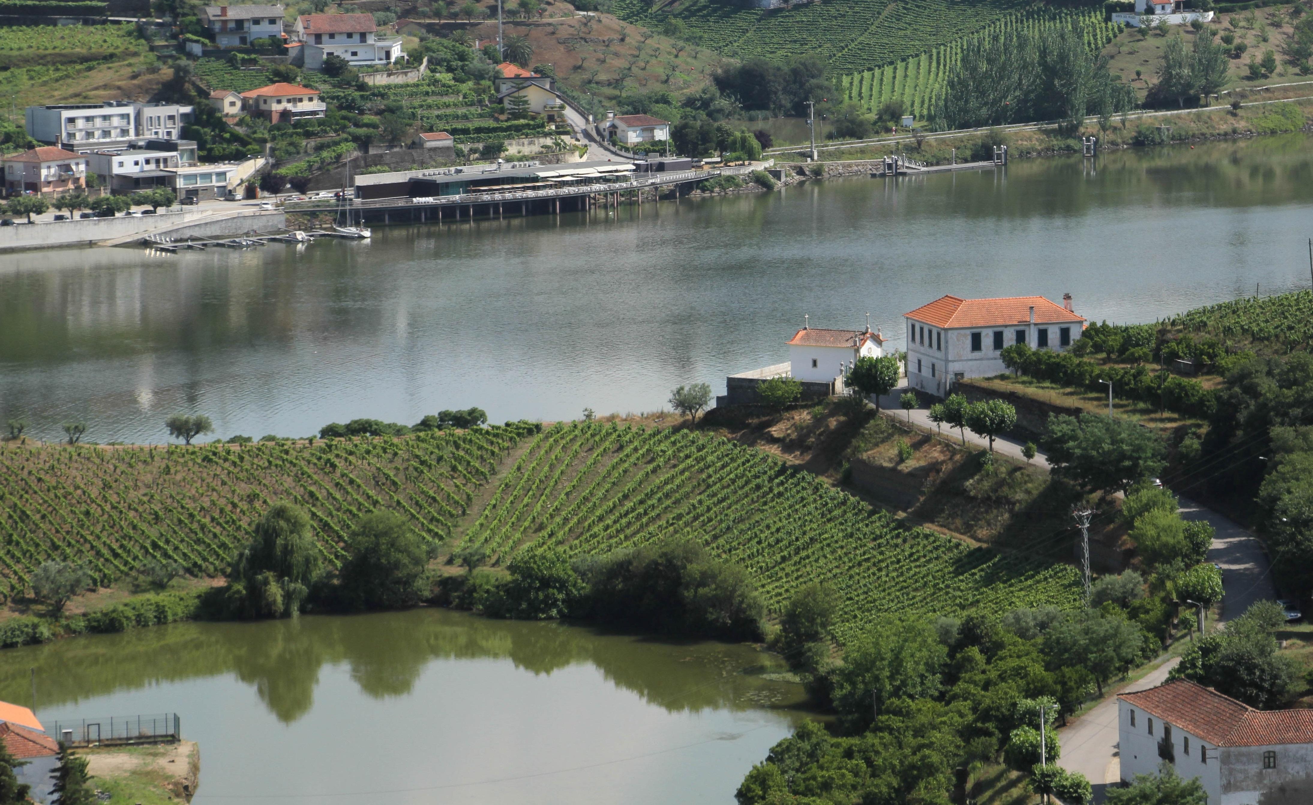 Hotel Folgosa Douro Armamar Eksteriør billede